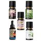 Le Balvo 10 ml Zeytin + Sanem Esintisi +Yeşil Çay +Stres +Nane Buhurdanlık Esansı