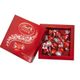 Lindt 100 gr Lindor Irresistibly Smooth Milk & Truffles