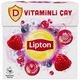 Lipton D Vitaminli 18'li Ahududu ve Yaban Mersini Aromalı Bardak Poşet Çayı