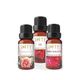 Lofty 10 ml Gül, Bahçe Gülü, Amber Romantik Uçucu Yağ Buhurdanlık Esans Oda Kokusu