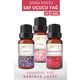 Lofty 10 ml Pudra Lavanta Amber Romantik Uçucu Yağ Buhurdanlık Esansı Oda Kokusu