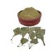 Lokman Aktar 150 gr Gingko Biloba Yaprak Tozu