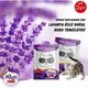 Magic Power Lavanta Kokulu 25 gr Toz Koku Giderici