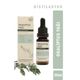 Mandamarina Saf 20 ml Okaliptus Yağı