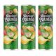 Master Potato 3x160 gr Sebze Çeşnili Patates Cipsi
