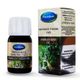 Mecitefendi 20 ml Maydanoz Tohumu Yağı