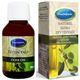 Mecitefendi 50 ml Zeytin Yağı