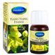 Mecitefendi Ylang Ylang Esansı 20 ML