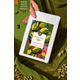 Mim and More 200 gr Pistachio Coffee Antep Fıstığı Aromalı Kahve Filtre Kahve