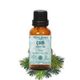 Minia Bahçe 10 ml Çam Ağacı Uçucu Yağı