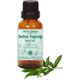 Minia Bahçe 10 ml Defne Yaprağı Yağı