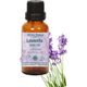 Minia Bahçe 10 ml Lavanta Uçucu Yağı