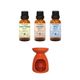 Minia Bahçe Limon Kabuğu Yağı 10 ml + Portakal Yağı 10 ml + 10 ml Nane Yağı