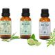 Minia Bahçe Limon Otu Yağı 10 ml +Bergamot Yağı 10 ml +10 ml Adaçayı Yağı