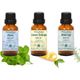 Minia Bahçe Nane Yağı 10 ml + Limon Kabuğu Yağı 10 ml + 10 ml Biberiye Yağı