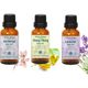 Minia Bahçe Sardunya Yağı 10 ml + Ylang Ylang Yağı 10 ml + 10 ml Lavanta Yağı