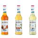 Monin 3x700 ml Şekersiz Şurup Seti
