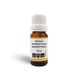 Mumi 10 ml Premium Hindistan Cevizli Kapuçino Mum Esansı
