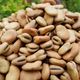 Natural Köy Ürünleri 500 gr Kuru Bakla