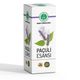 Neşe Natural 10 cc Paçuli Esansı