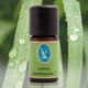 Nuka 10 ml Hint Limonotu Yağı