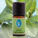 Nuka 10 ml Organik İngiliz Nanesi Yağı