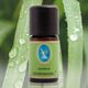 Nuka 30 ml Hint Limon Otu Yağı