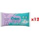 Önlem 12x90 Yaprak Ultra Papatya Özlü Islak Havlu