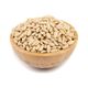 Organik Bitkim 30 gr Çam Fıstığı
