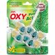 Oxy 2'li 50 gr Çam Kokulu Wc Blok