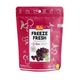 Pol's Freeze Fresh 25 gr Dondurularak Kurutulmuş Vişne