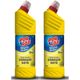 Porçöz Yaz Yağmuru 2x750 ml Yoğun Kıvamlı Çamaşır Suyu
