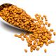Qavruq 1 kg Soslu Golden Mısır
