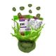 Refresh 20 gr Freeze Dried Kivi