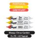 Sleepy 3x15 Citrus Cep Islak Mendili