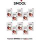 Smool 10x15 gr Dondurularak Kurutulmuş Çilek