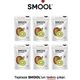 Smool 6x15 gr Freeze Dried Kivi