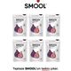 Smool 6x30 gr Dondurularak Kurutulmuş Siyah İncir