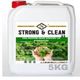 Strong&Clean 5 kg Oda Parfüm Konsantre 1/8 Nane Kokulu