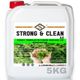Strong&Clean 5 kg Yüzey Temizleyici Konsantre 1/60 Nane Kokusu