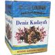 Tabib Lokman 240 gr Ballı Deniz Kadayıfı Macun