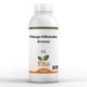 Tito 1 lt Mango Milkshake Aroması