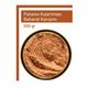 TOS 500 gr Patates Kızartması Baharat Karışımı