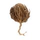 TOS The Organic Spices 100 gr 1. Kalite Meryemana Otu