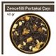 Tos The Organic Spices 40 gr Zencefilli Portakal Çayı