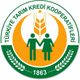 Türkiye Tarım Kredi Kooperatifleri 350 gr Cevizli Helva