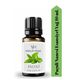 Vivaldi Home 10 ml Paçuli Uçucu Yağ Buhurdanlık Oda Kokusu