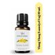 Vivaldi Home 10 ml Ylang Ylang Uçucu Yağ Buhurdanlık Oda Kokusu