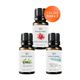 Vivaldi Home 3x10 ml Afrodizyak, Okaliptus, Okyanus Esintisi Uçucu Yağ Buhurdanlık Yağı