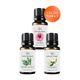 Vivaldi Home 3x10 ml Amber, Sedir Ağacı, Yasemin Uçucu Yağ Buhurdanlık Yağı